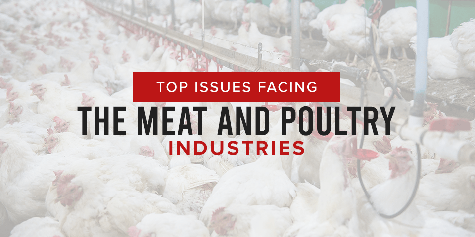 肉类和家禽行业面临的主要问题
