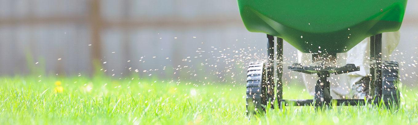 肥料和草坪护理